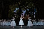 Sylphide